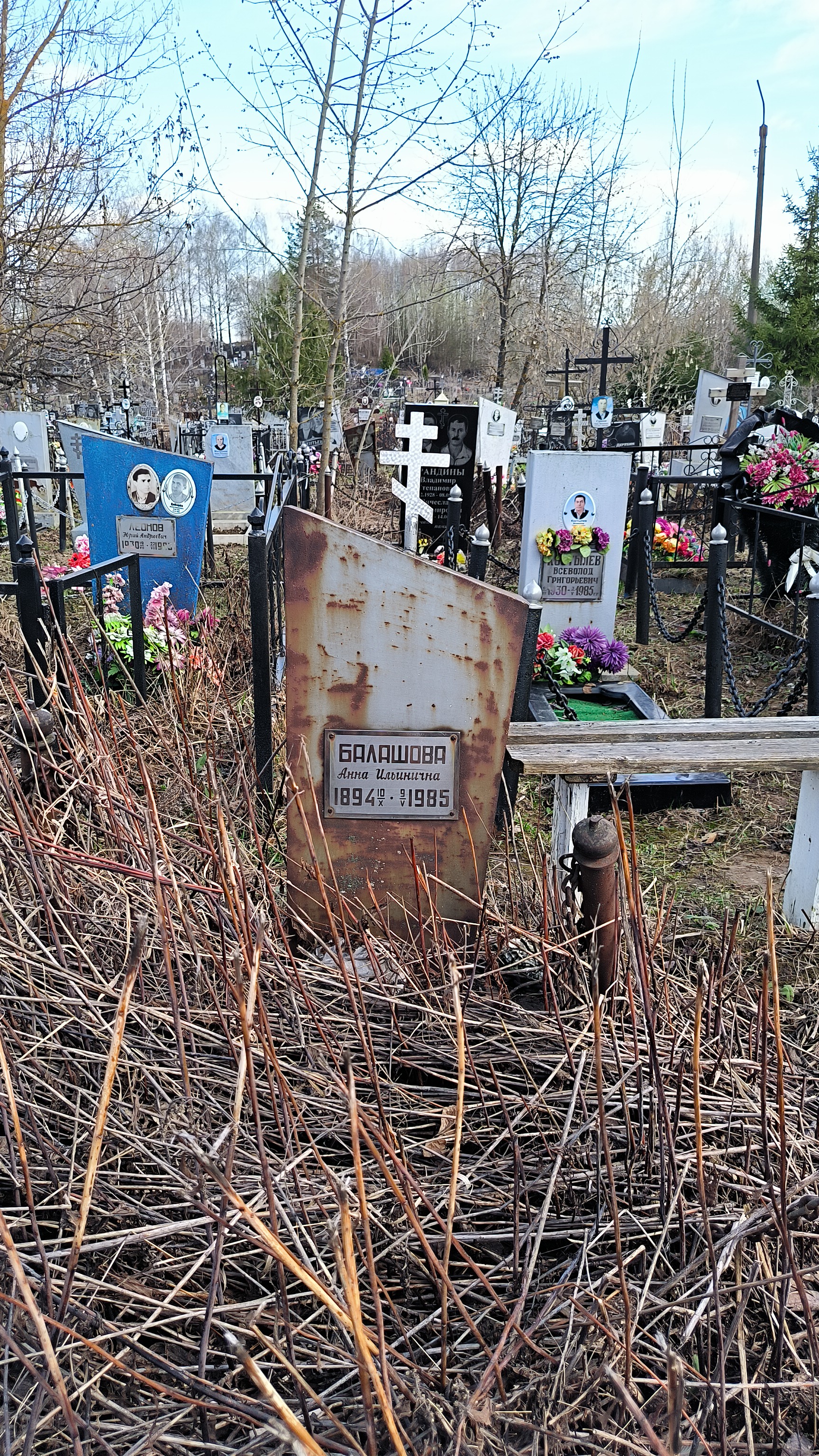 Балашова Анна Ильинична