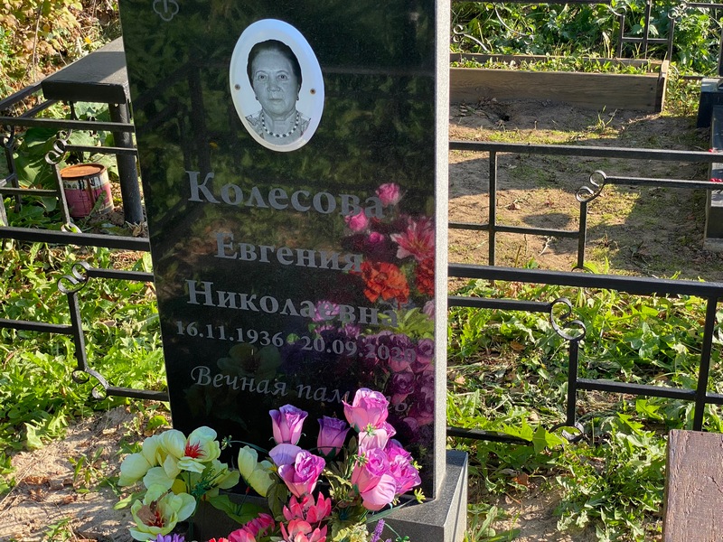 Колесова Евгения Николаевна