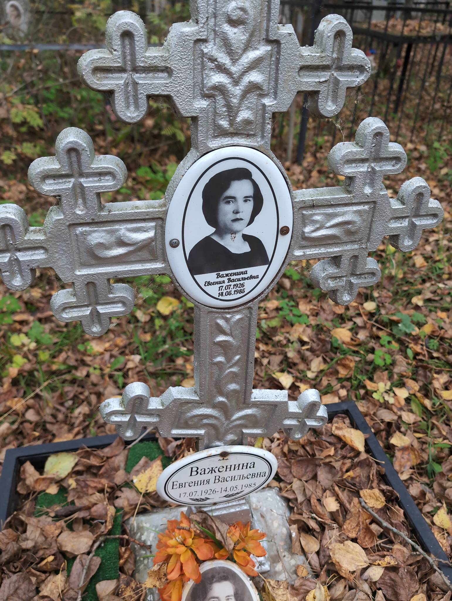 Важенина Евгения Васильевна