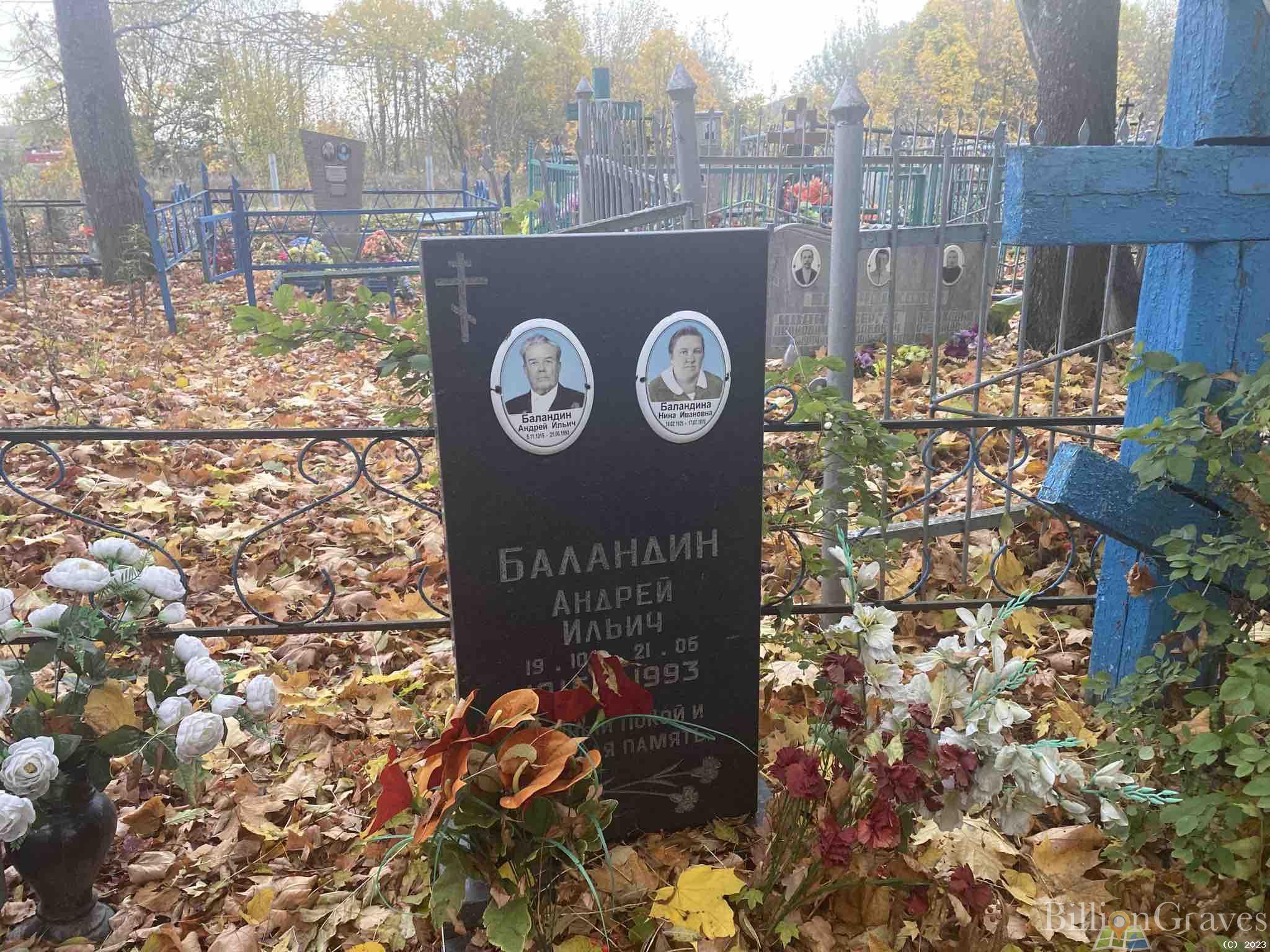 Баландин Андрей Ильич