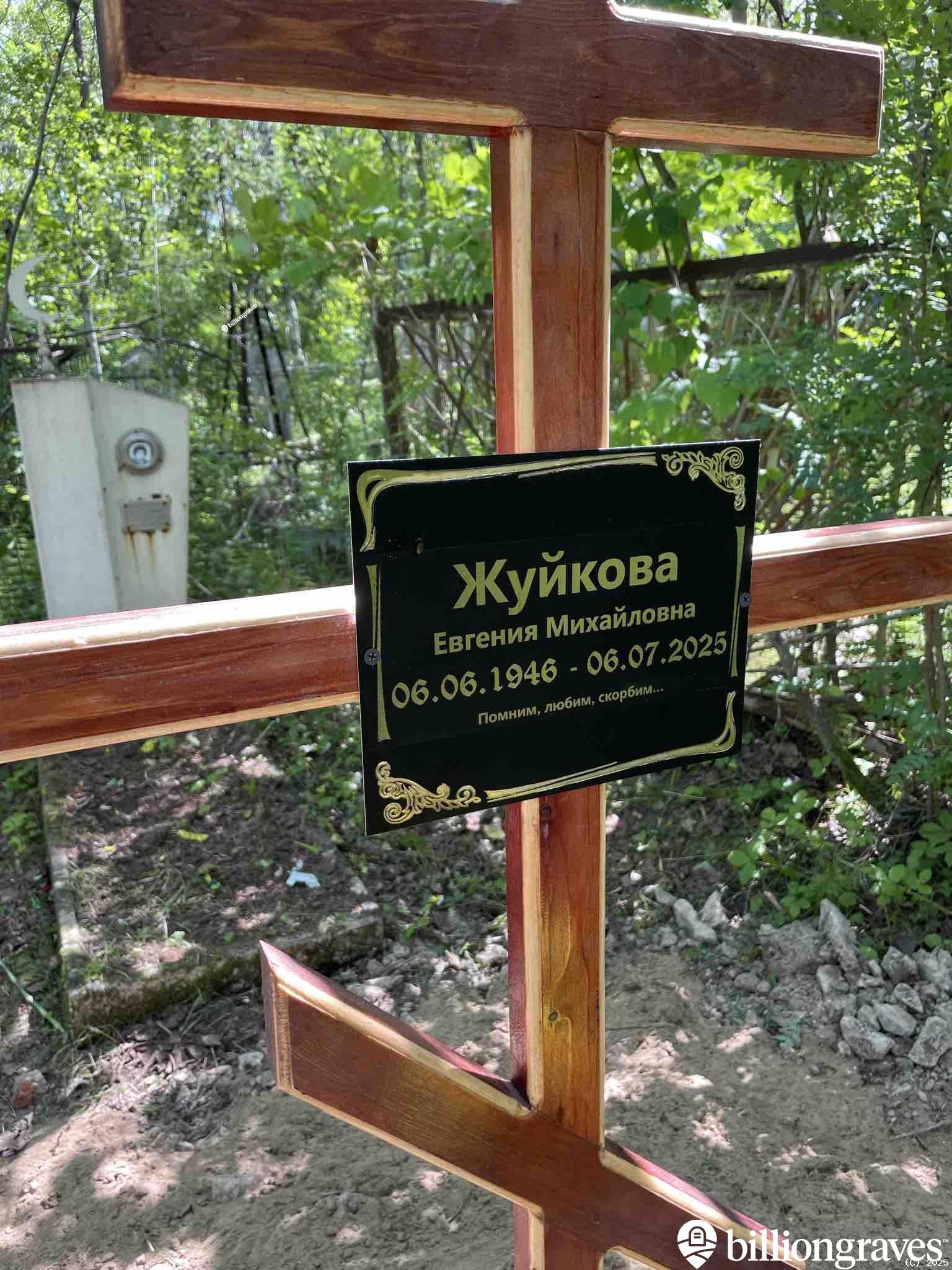Жуйкова Евгения Михайловна