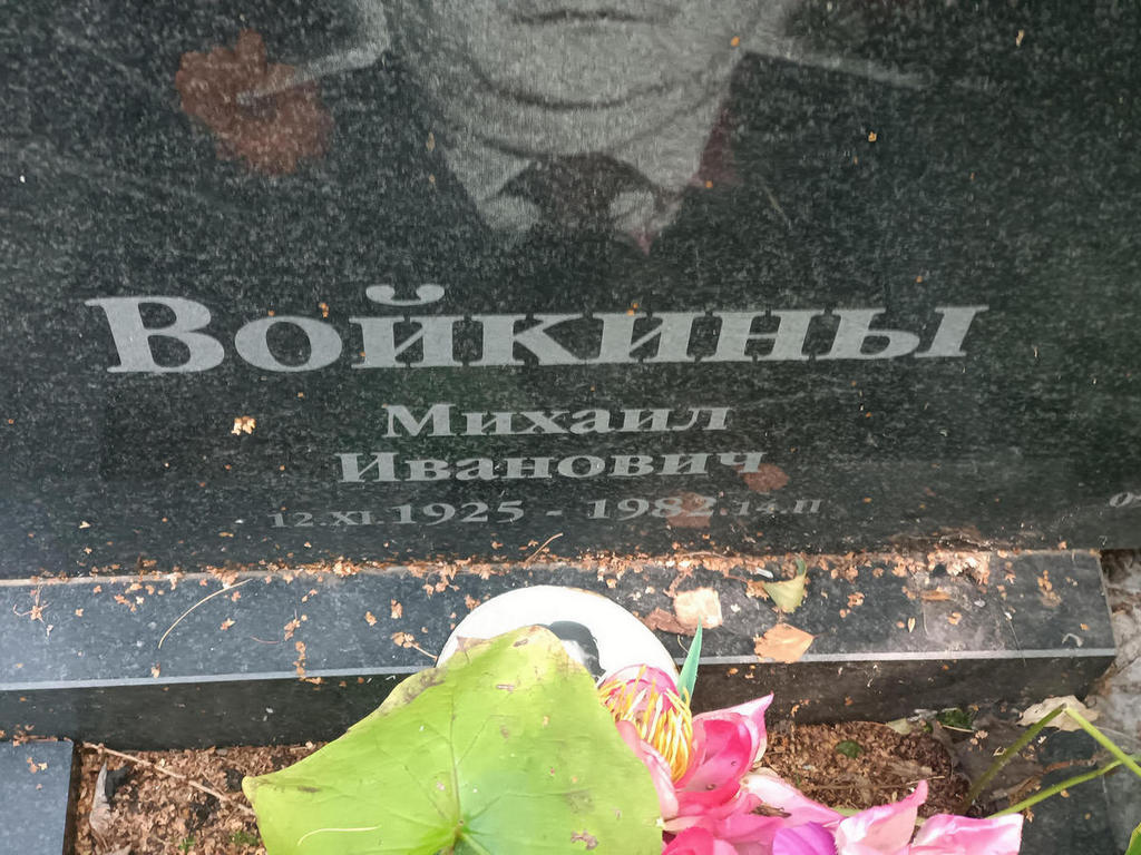 Войкин Михаил Иванович