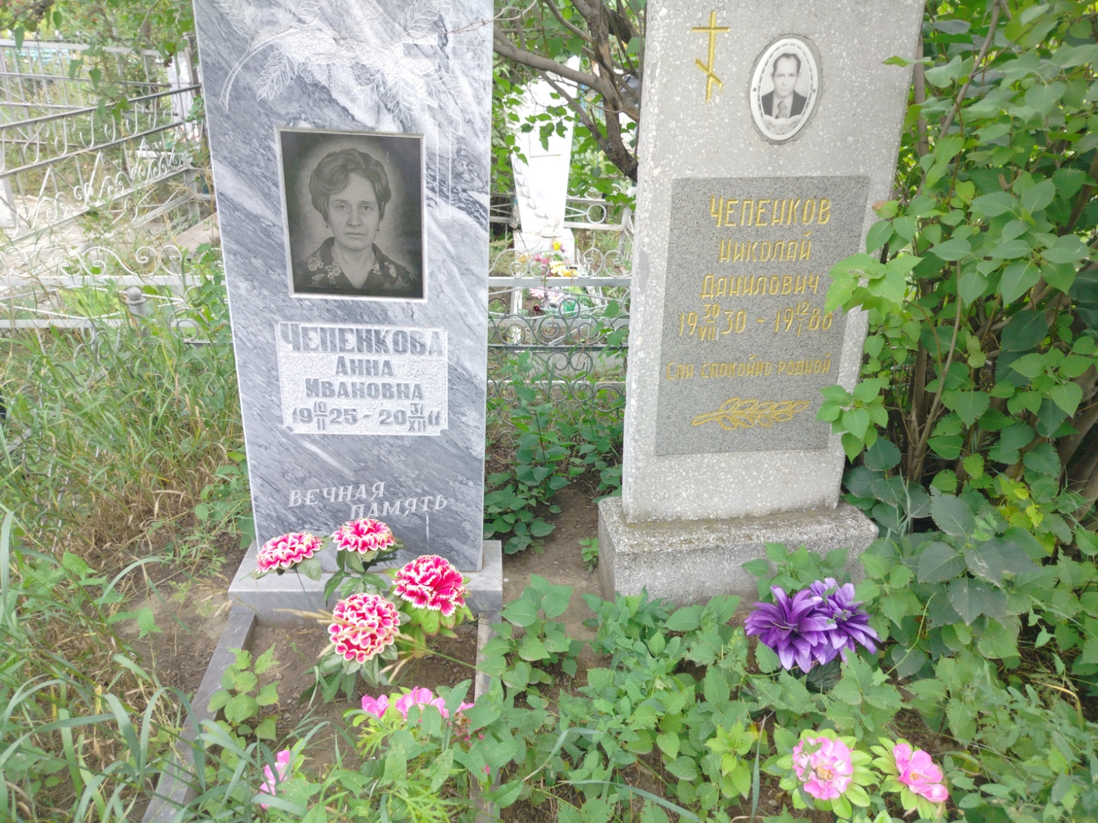 Чепенкова Анна Ивановна