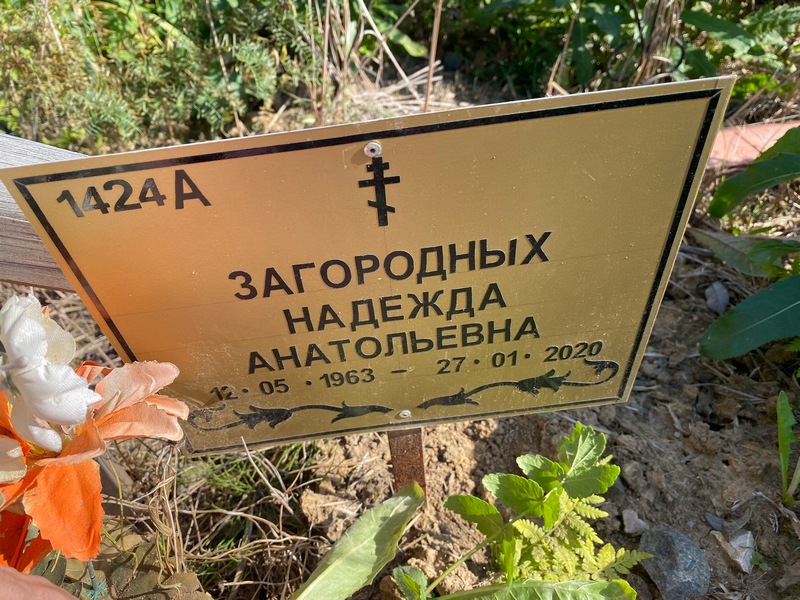 Загородных