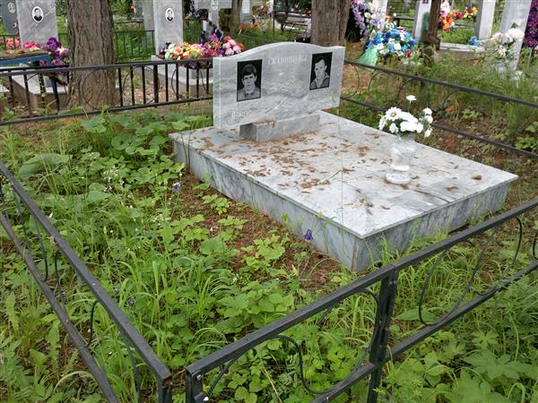 Скапишев Александр Викторович
