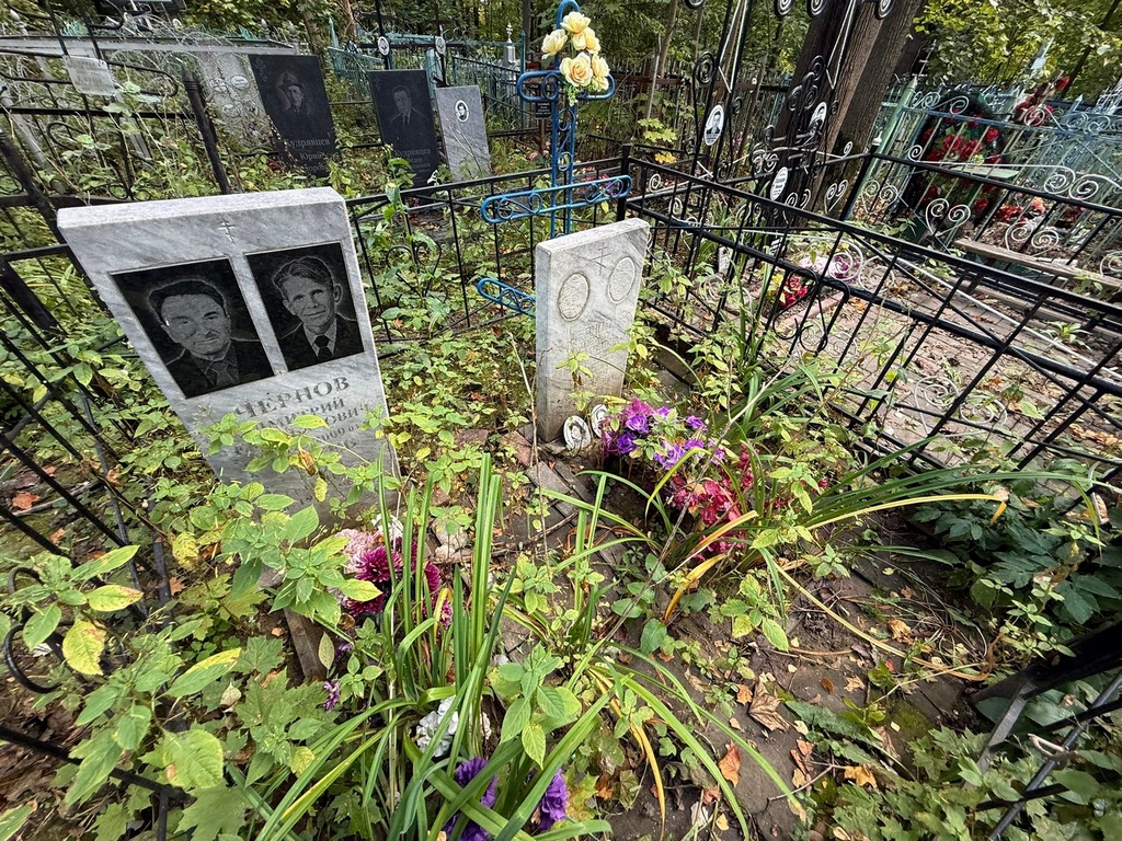 Чернов Дмитрий Емельянович