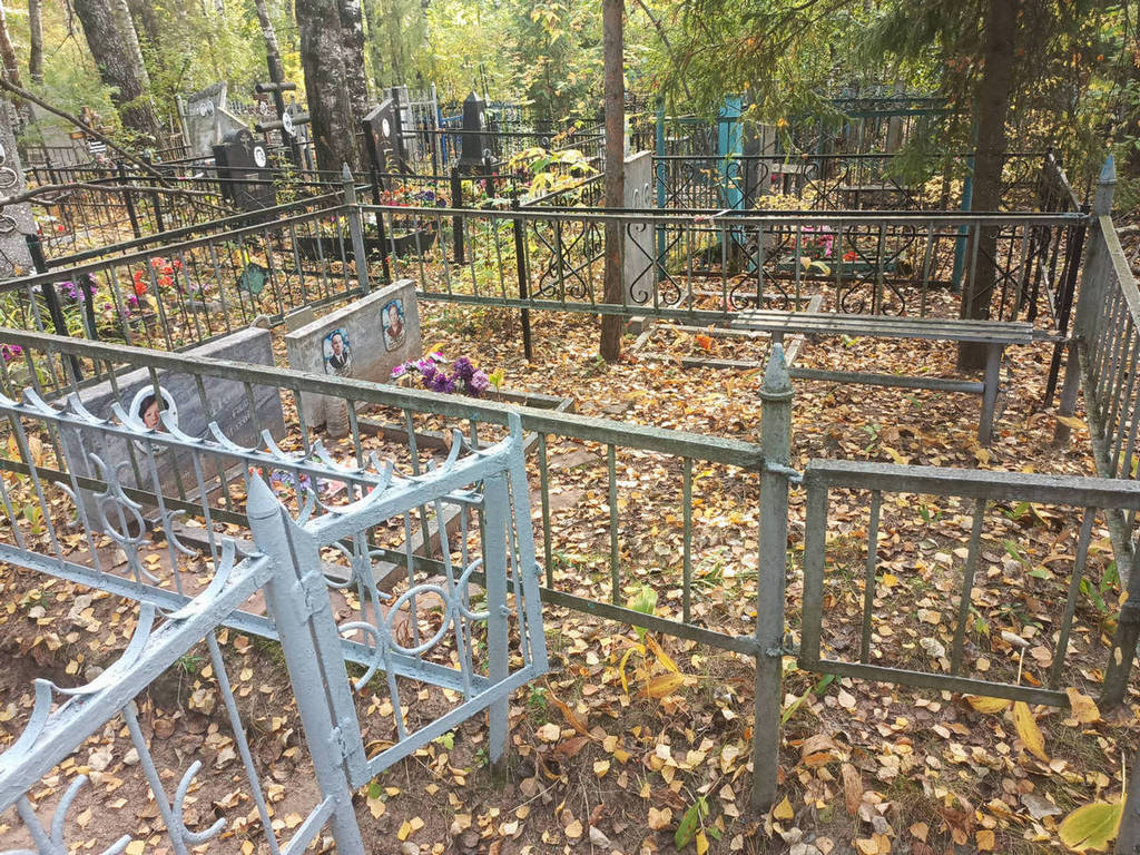 Шмулева Нина Михайловна
