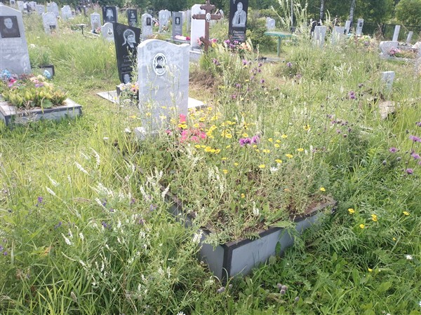 Окулов Анатолий Васильевич