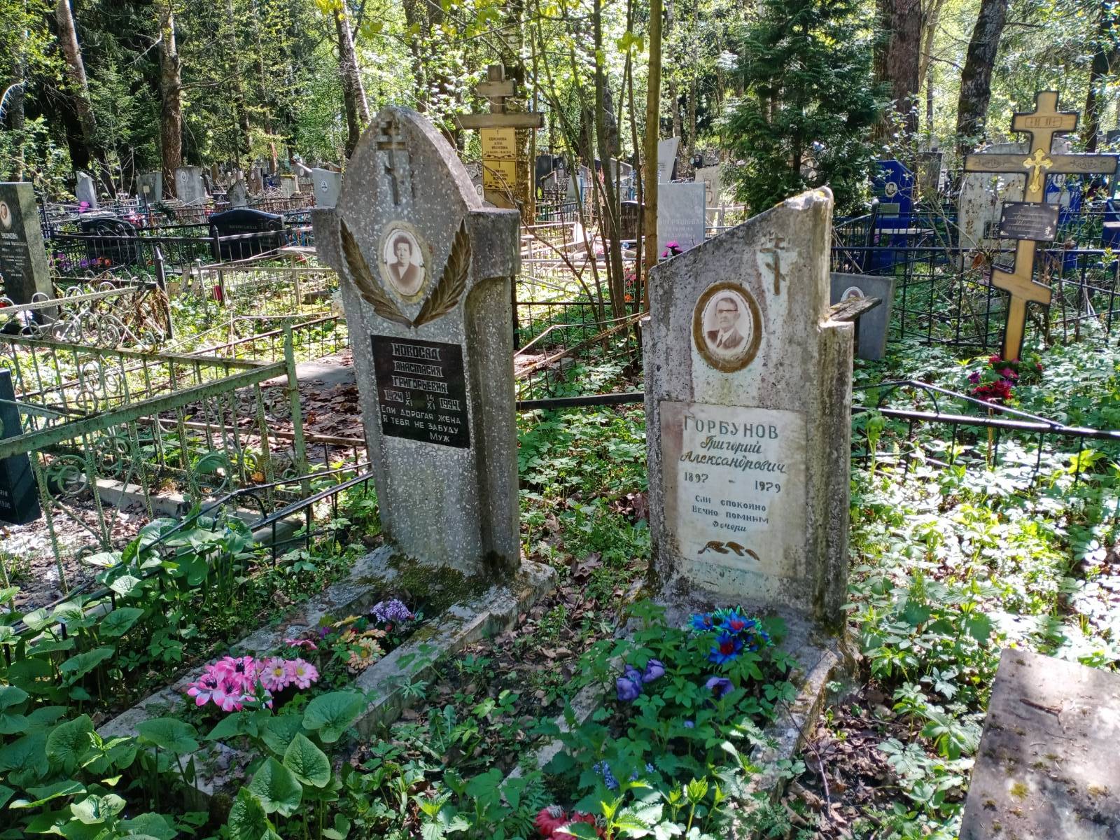 Новосад Анастасия Григорьевна