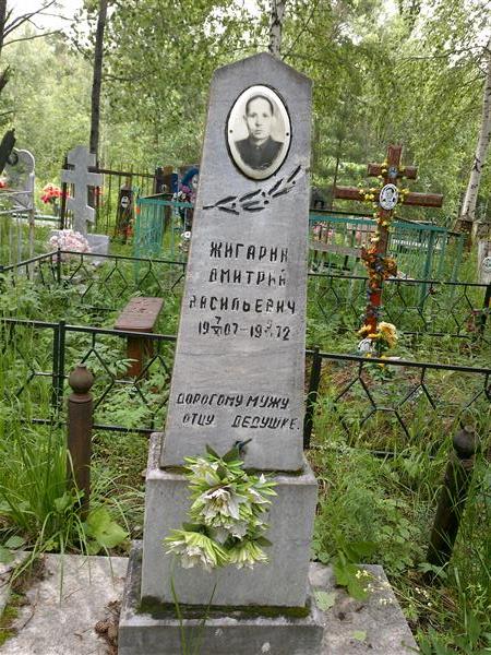 Жигарин Дмитрий Васильевич