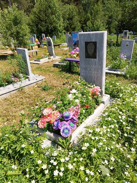 Незлобина Вера Анатольевна