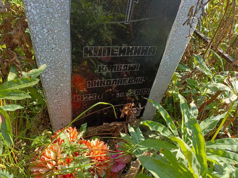 Кипейкина