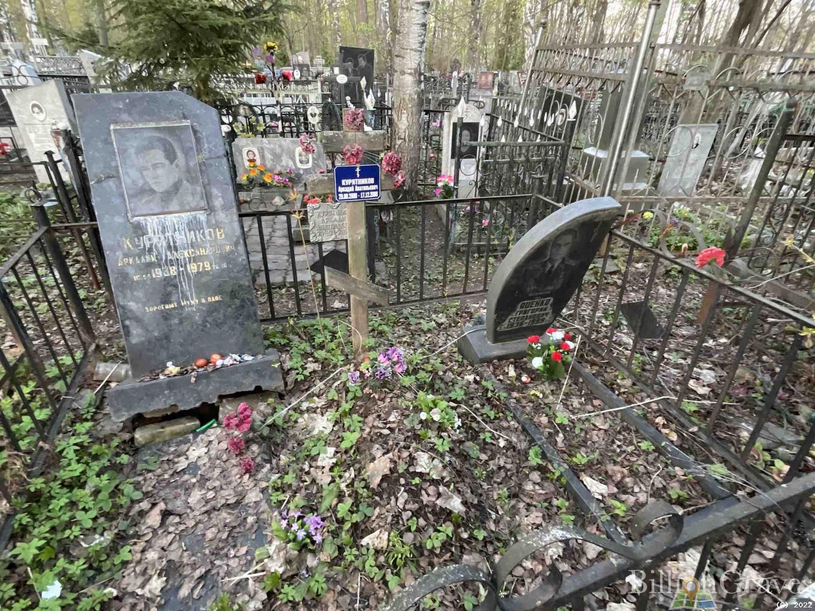 Курятников Аркадий Александрович