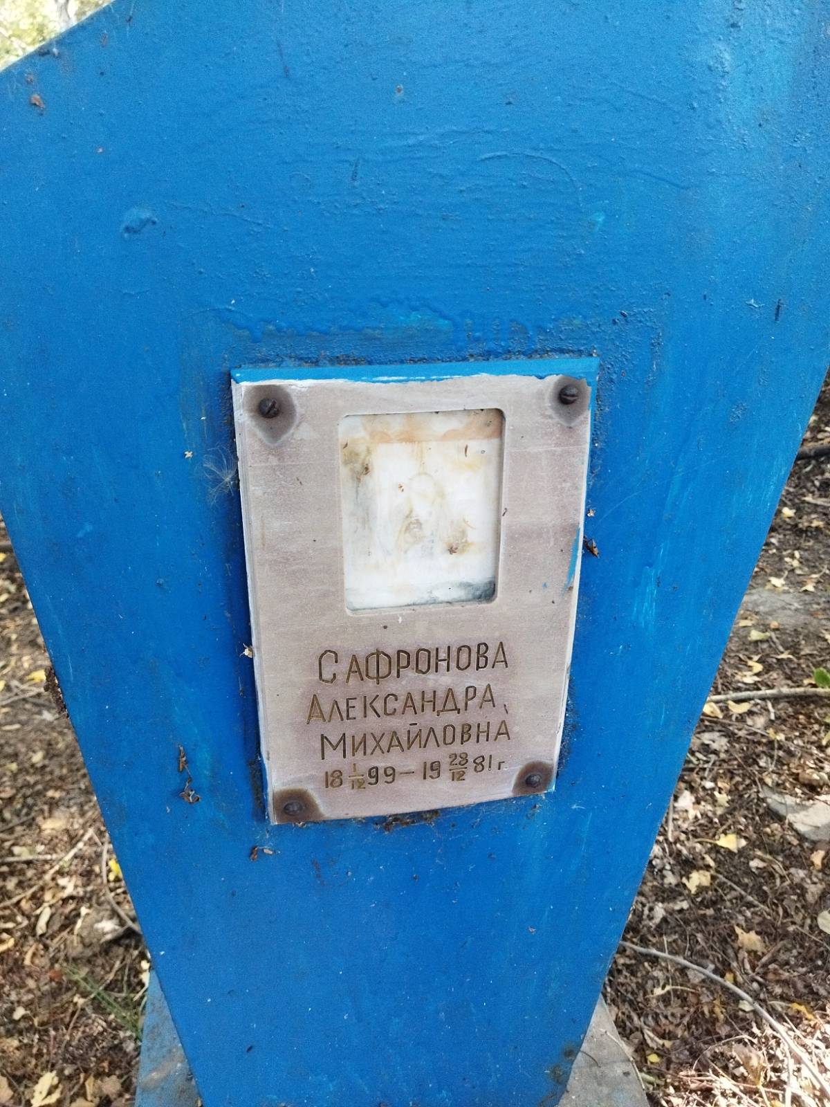 Сафронова Александра Михайловна