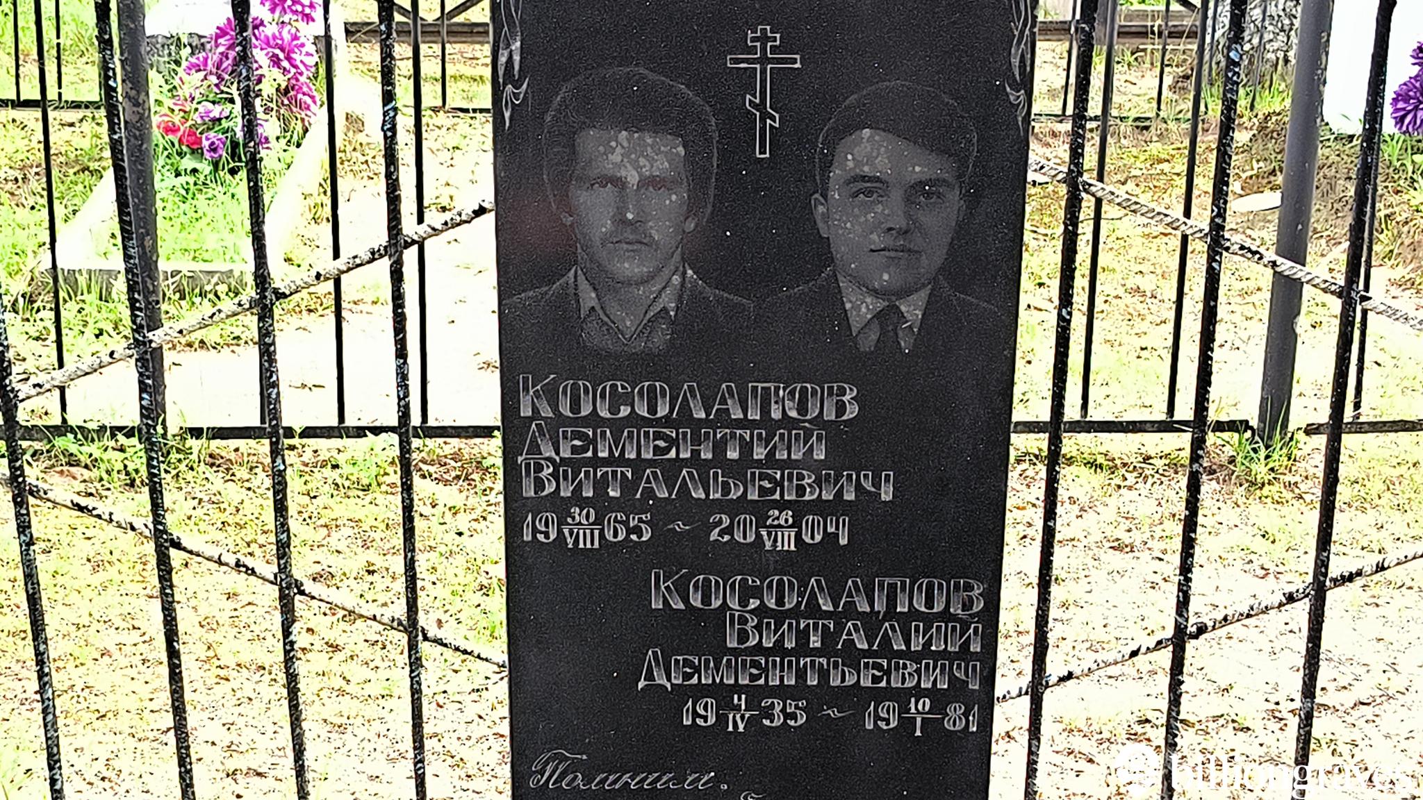 Косолапов Виталий Дементьевич