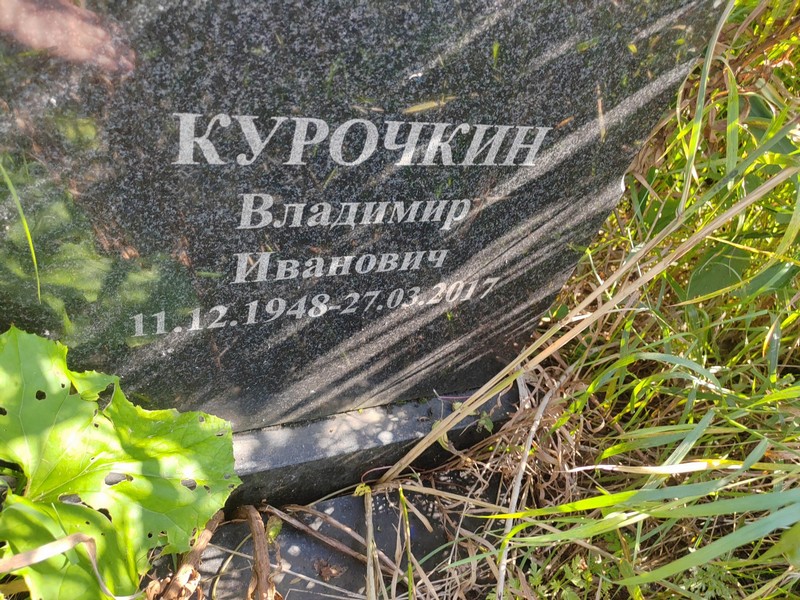 Курочкин