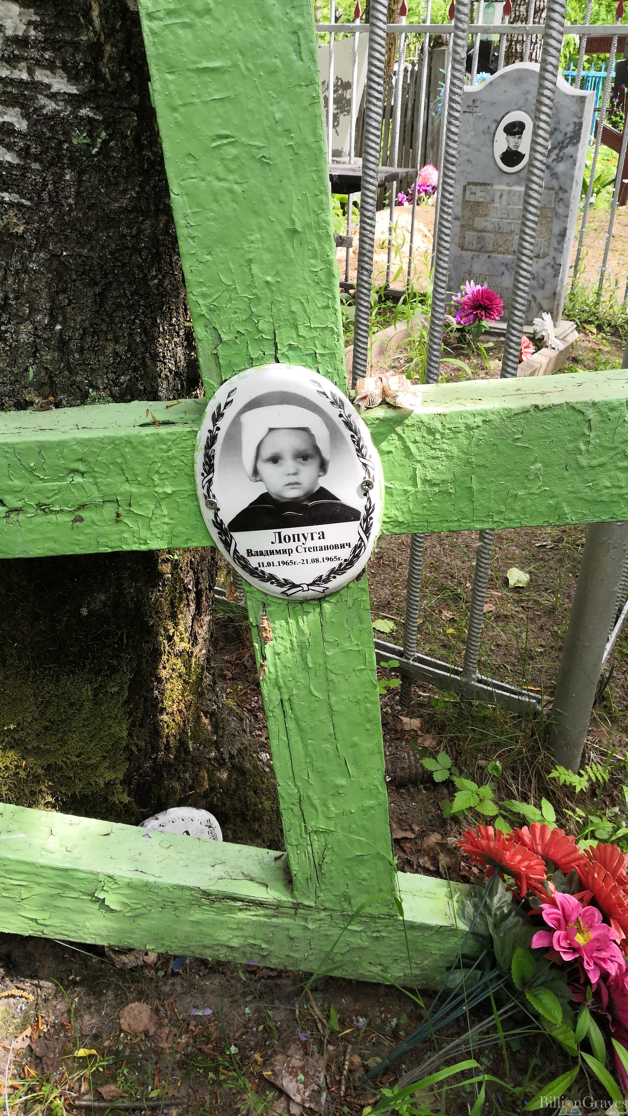 Лопуга Владимир Степанович