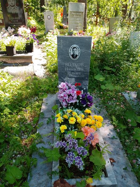 Волков Владимир Николаевич