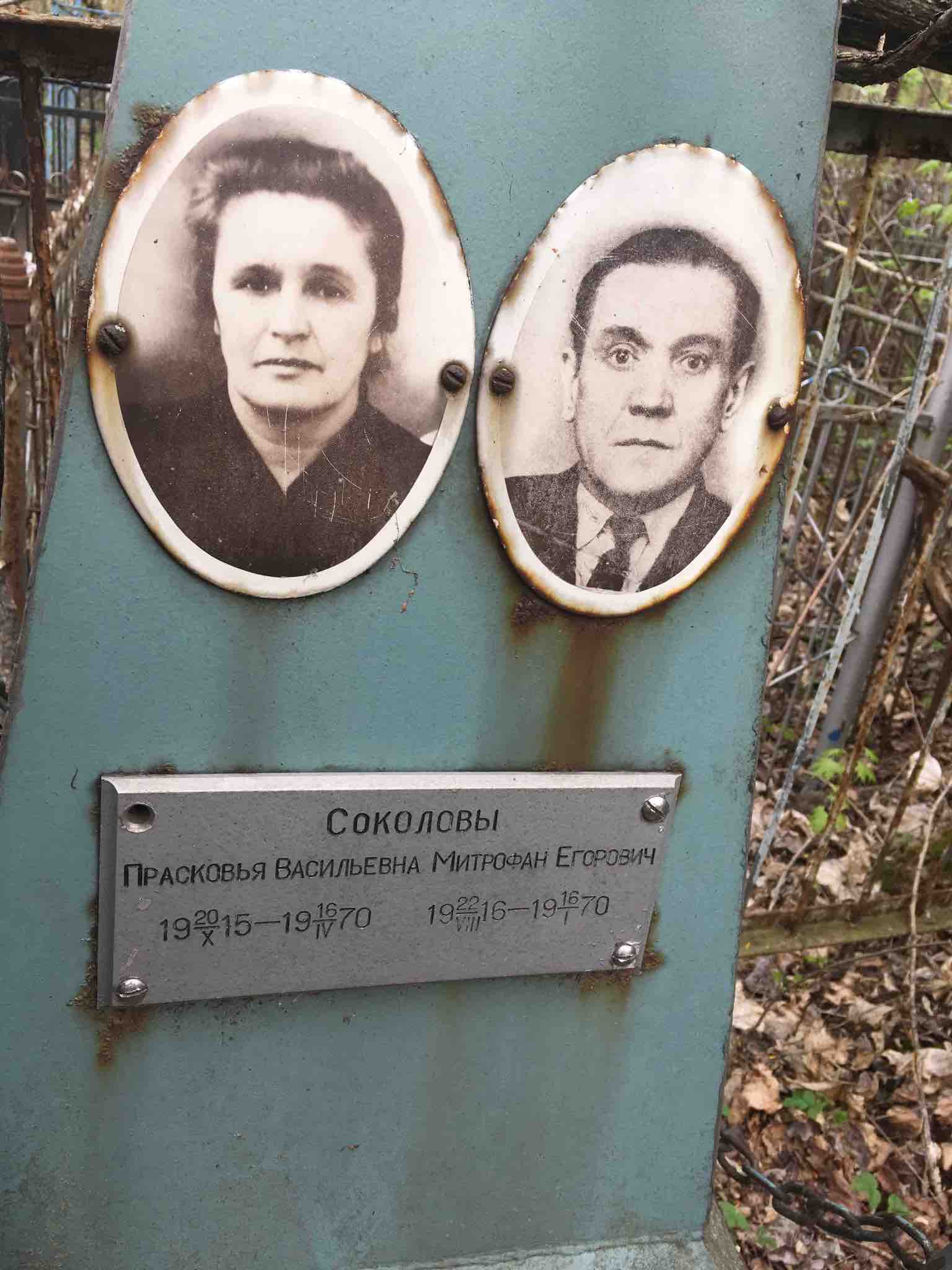 Соколова Прасковья Васильевна