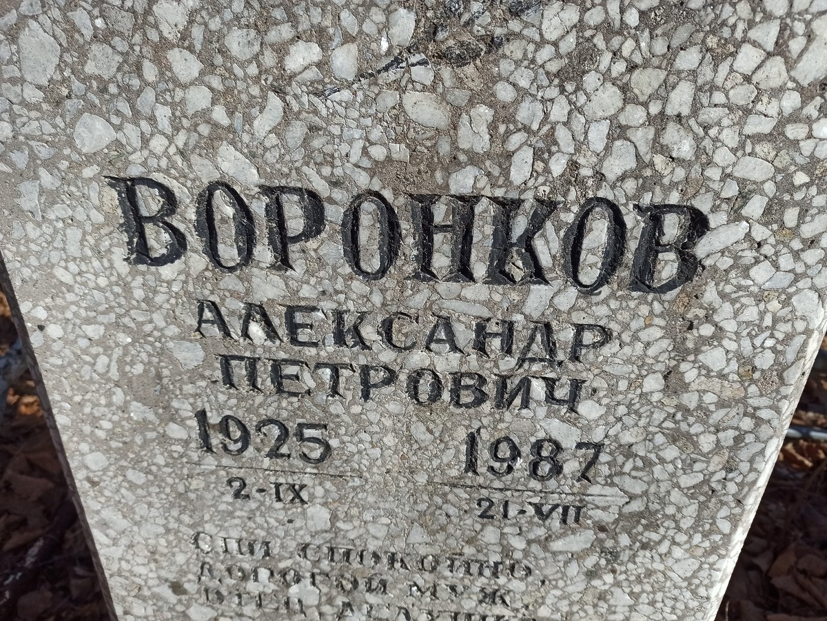 Воронков Александр Петрович