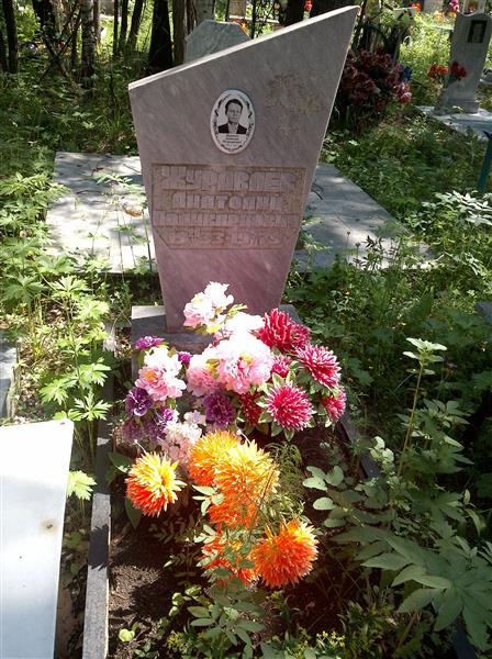 Журавлев Анатолий Поликарпович