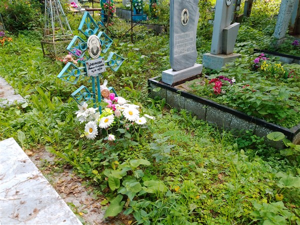 Шибакова Наталья Александровна