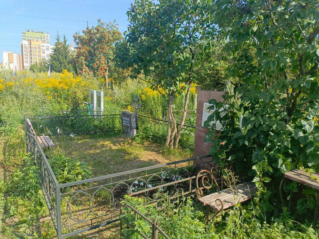 Сенниковский Артем