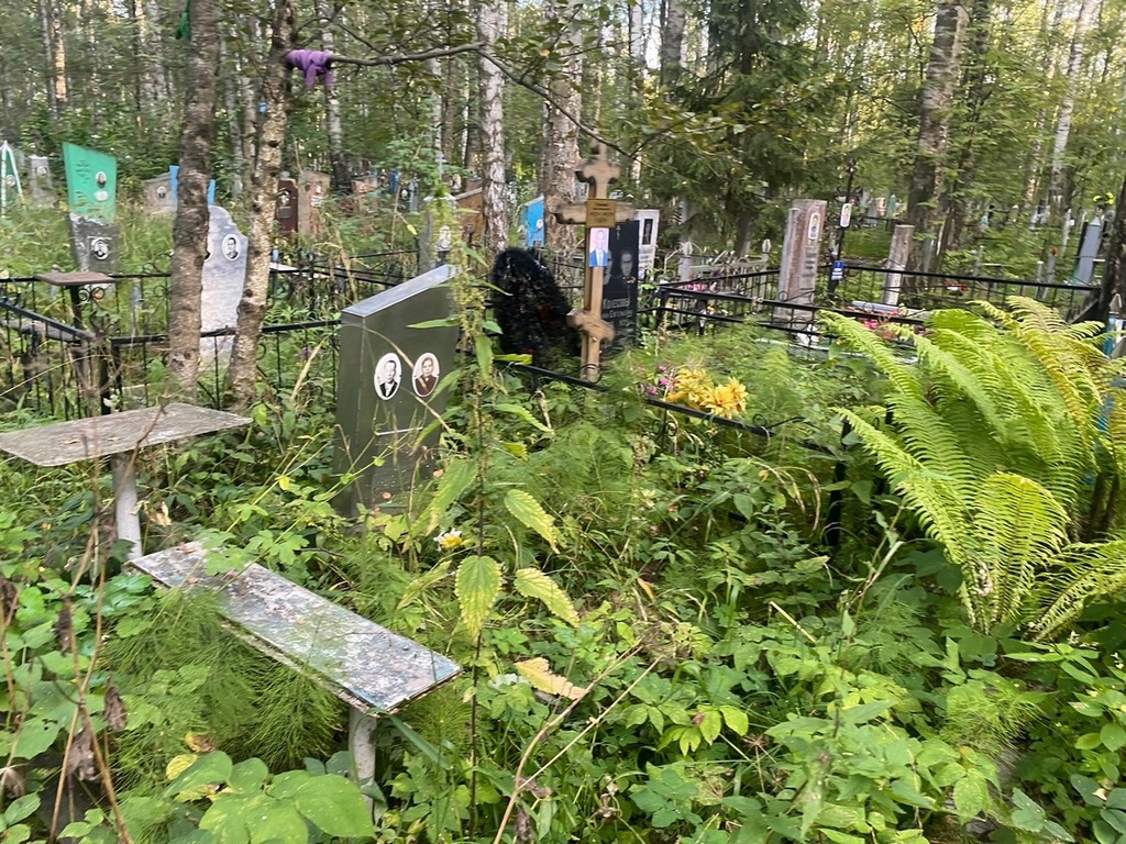 Давыдов Степан Михайлович