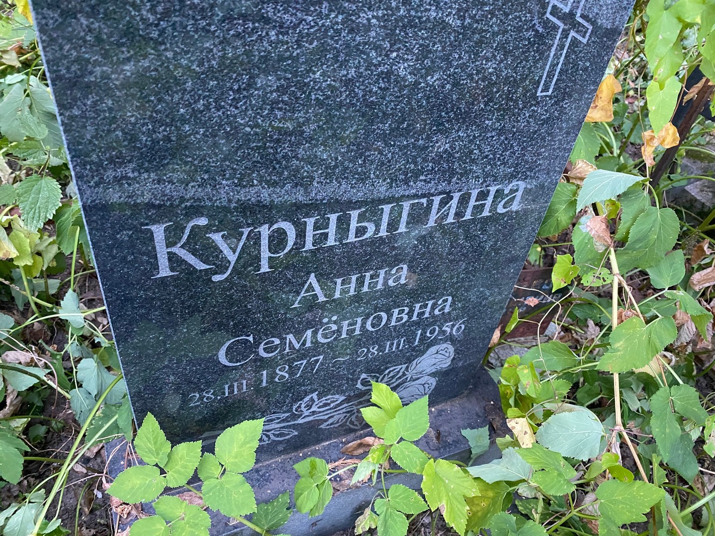 Курныгина