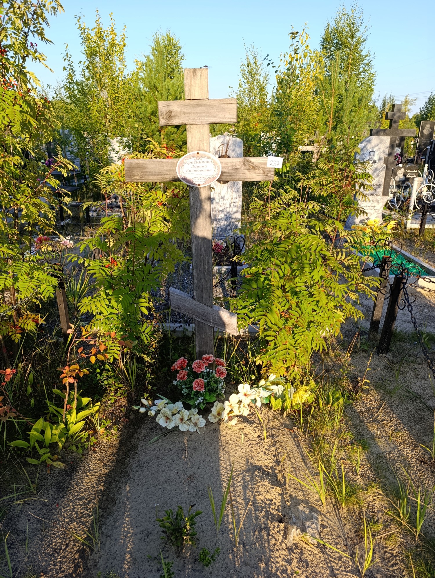 Красникова Лорина Викторовна