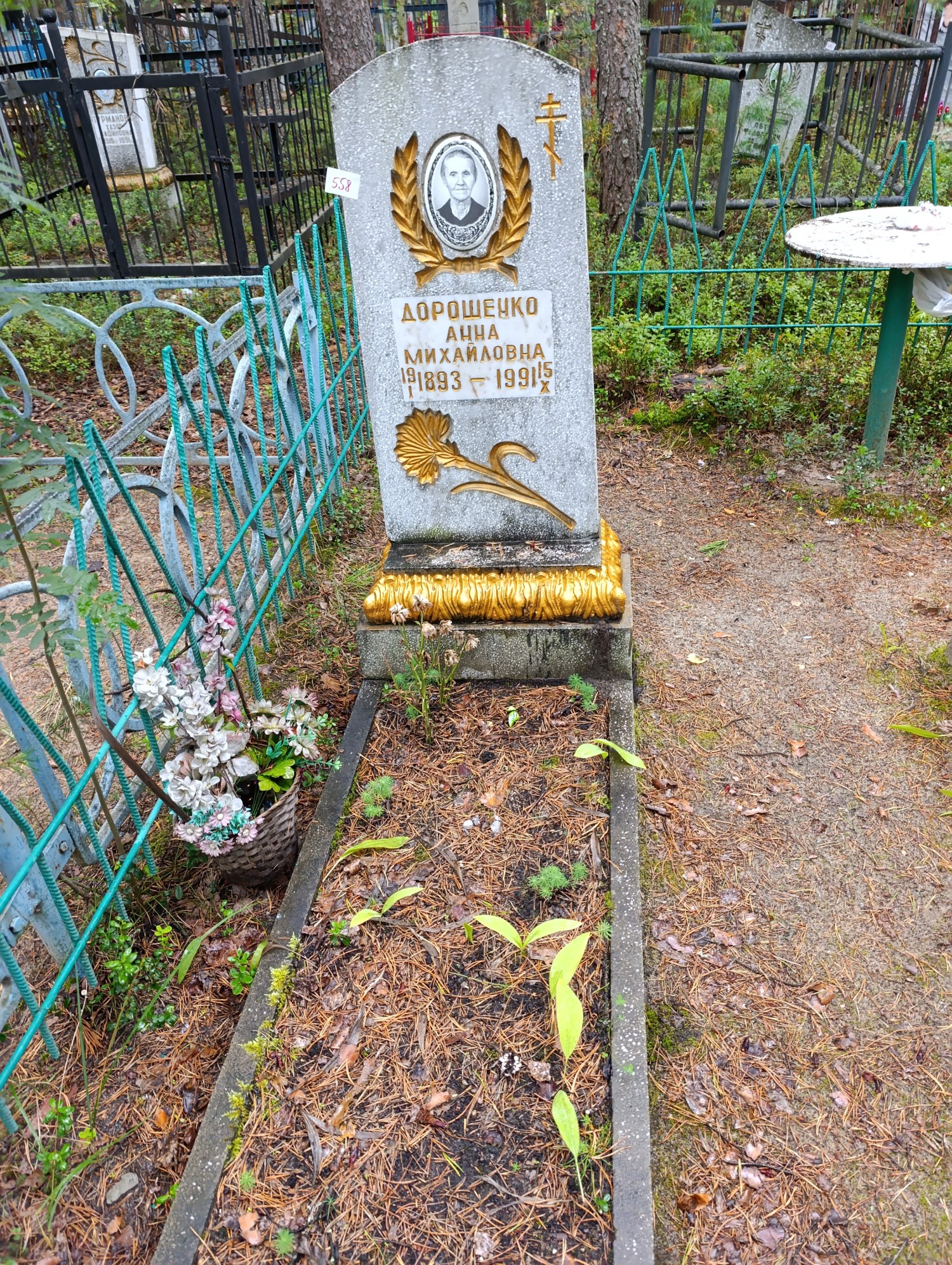 Дорошенко Анна Михайловна