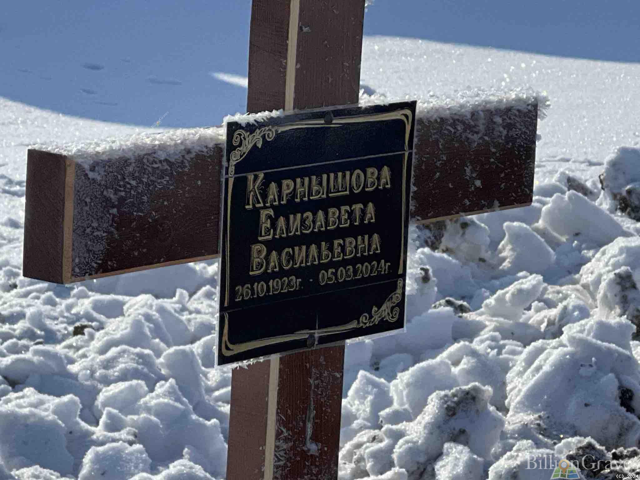Карнышова Елизавета Васильевна