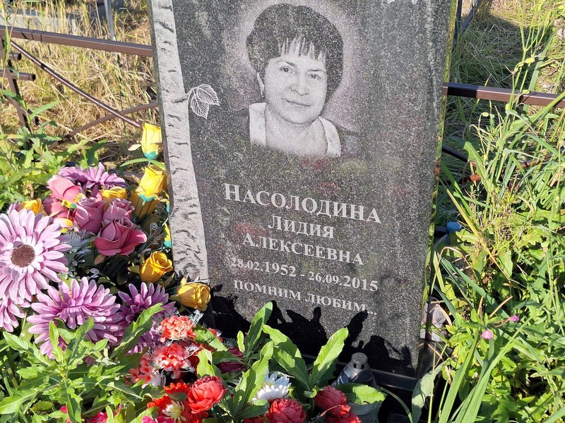 Насолодина