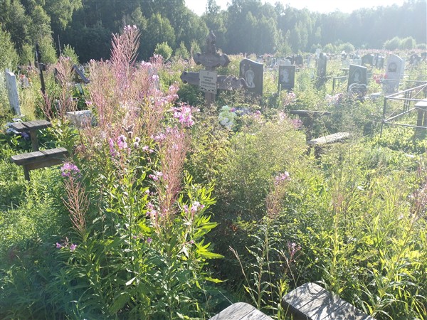 Смирнова Нонна Александровна
