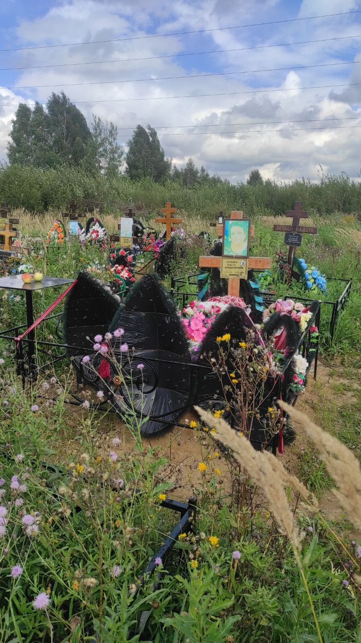 Селова