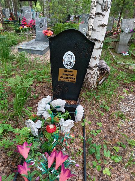 Сокол Наталья Андреевна