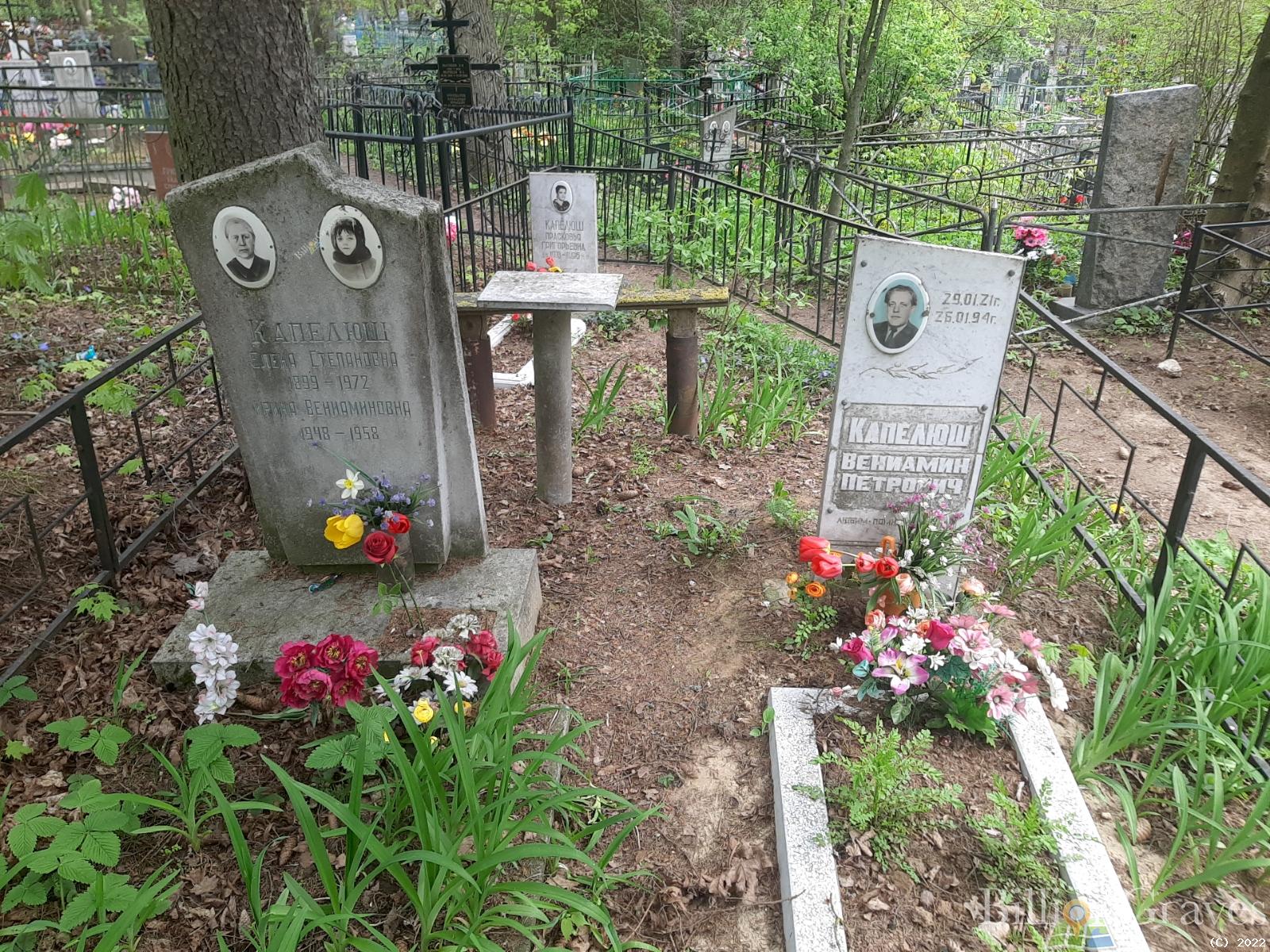 Капелюш Вениамин Петрович