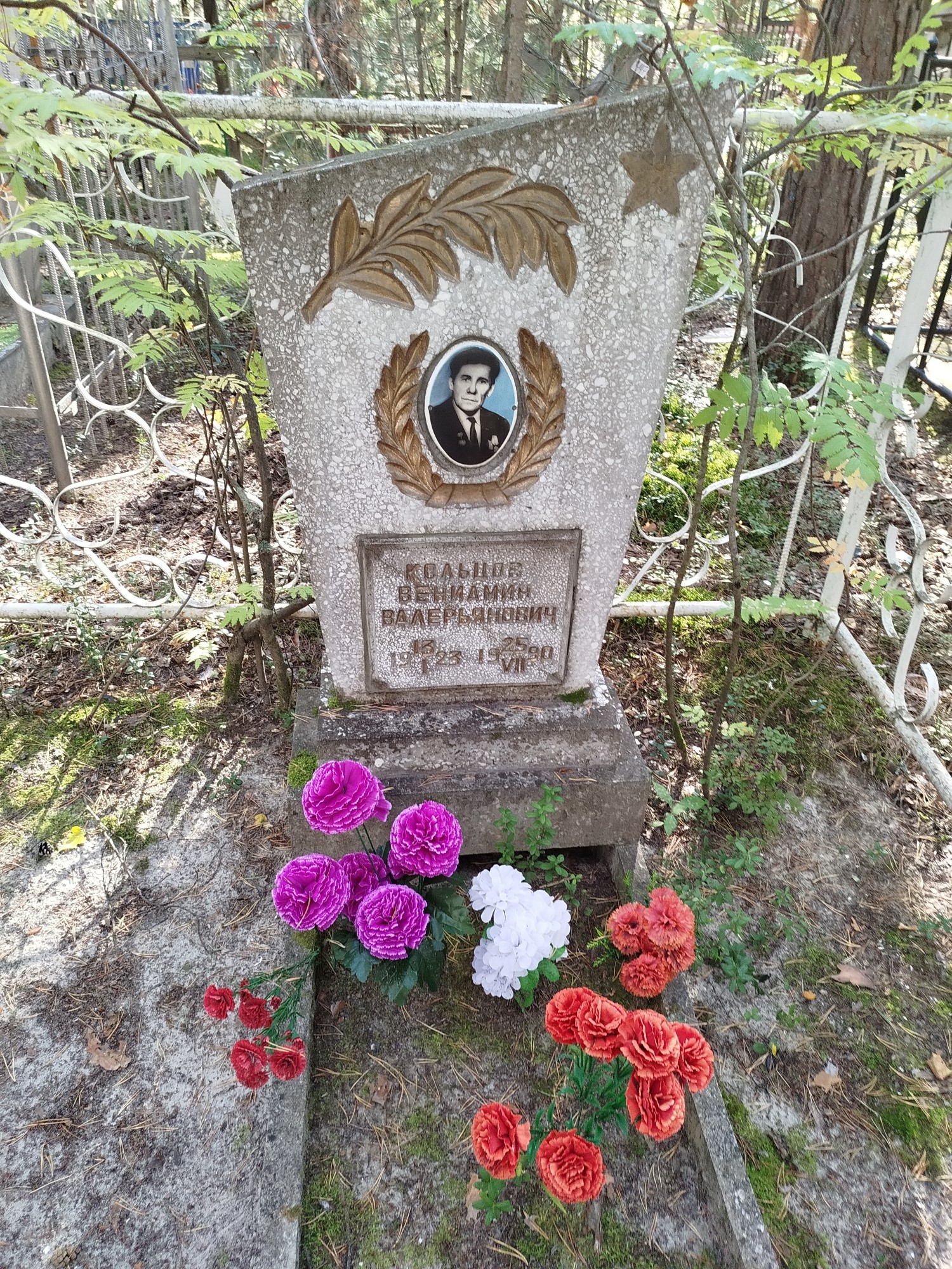 Кольцов Вениамин Валерьянович