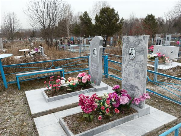 Шубин Николай Иванович