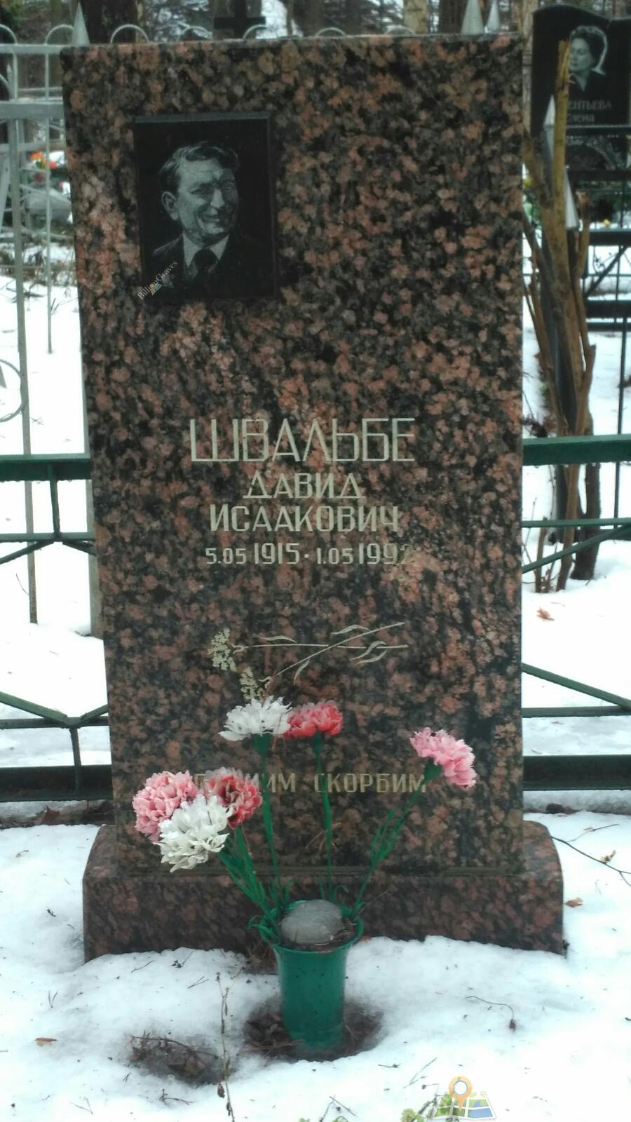 Швальбе Давид Исаакович