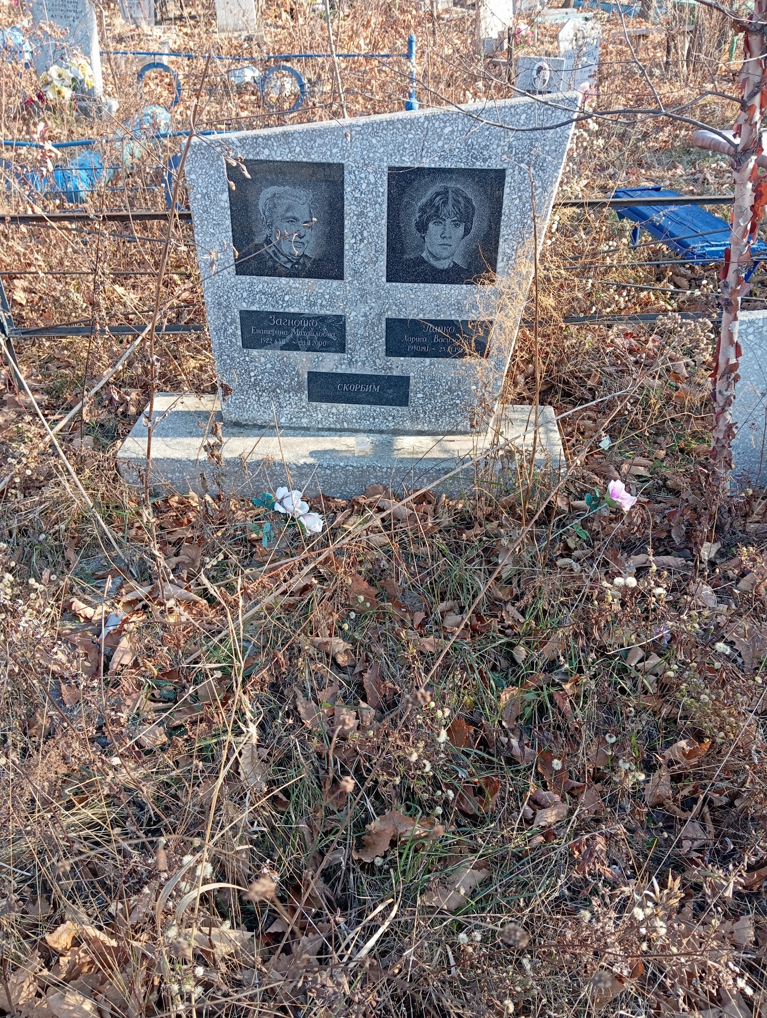 Загнойко Екатерина Михайловна