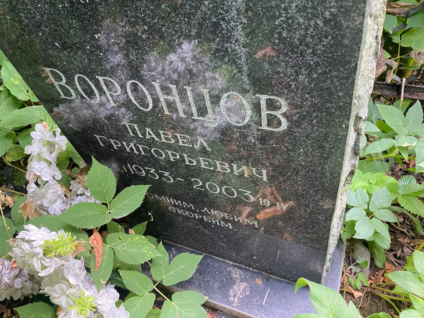 Воронцов