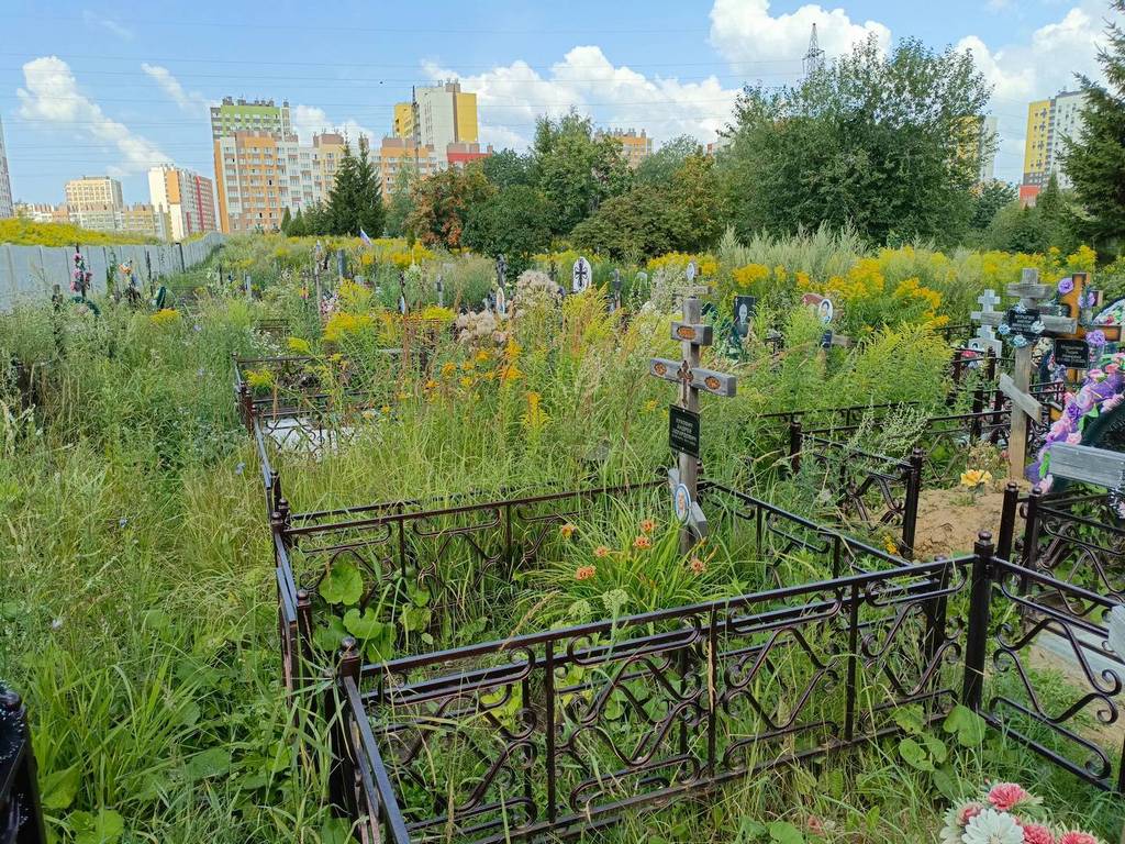 Лукович Андрей Эдуардович