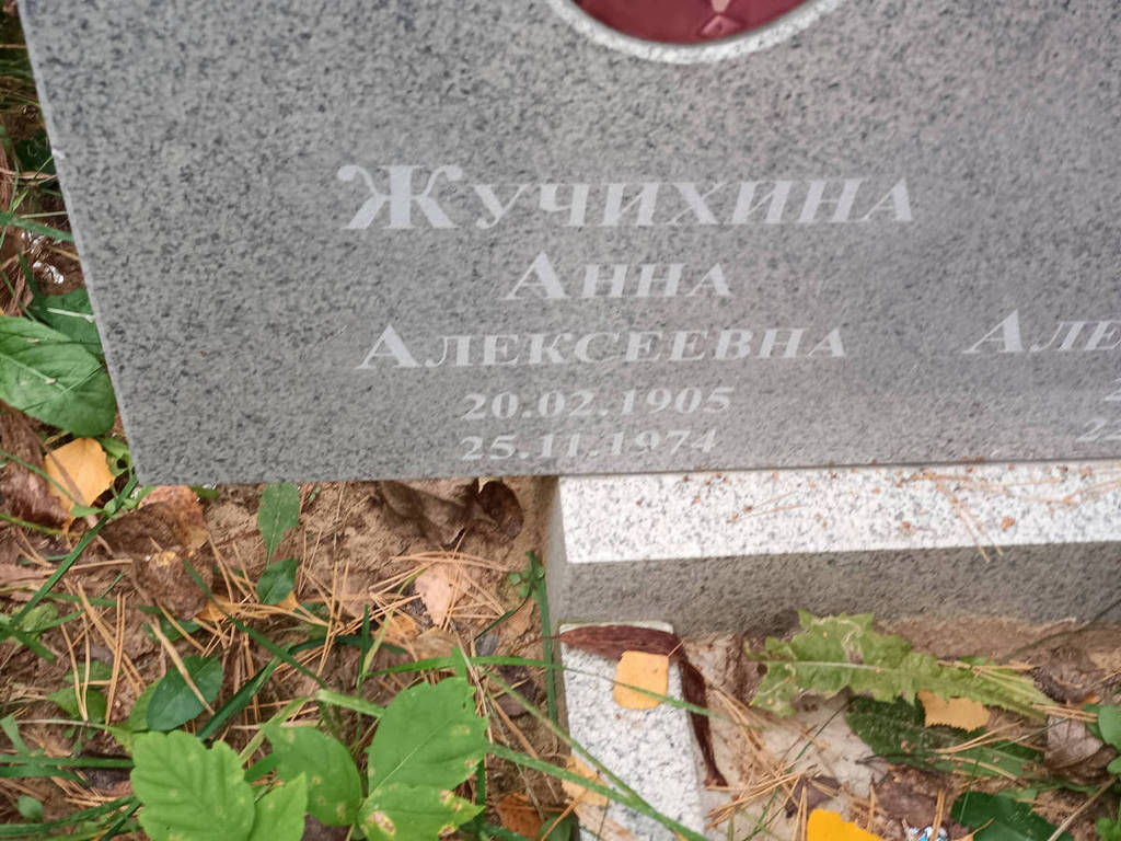 Жучихина Анна Алексеевна