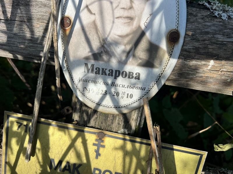Макарова Анастасия Васильевна