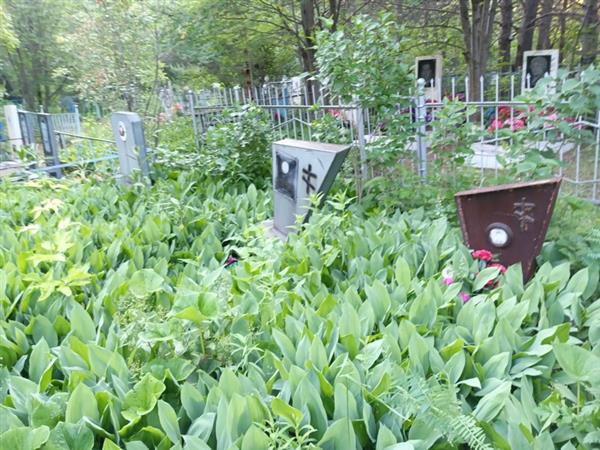 Вайнилович Валентина Прохоровна