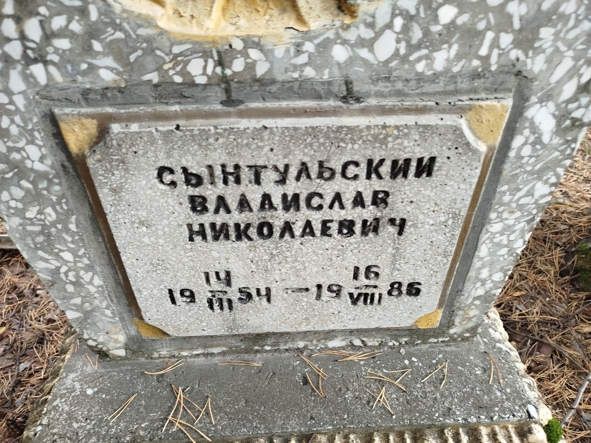Сынтульский Владимир Николаевич