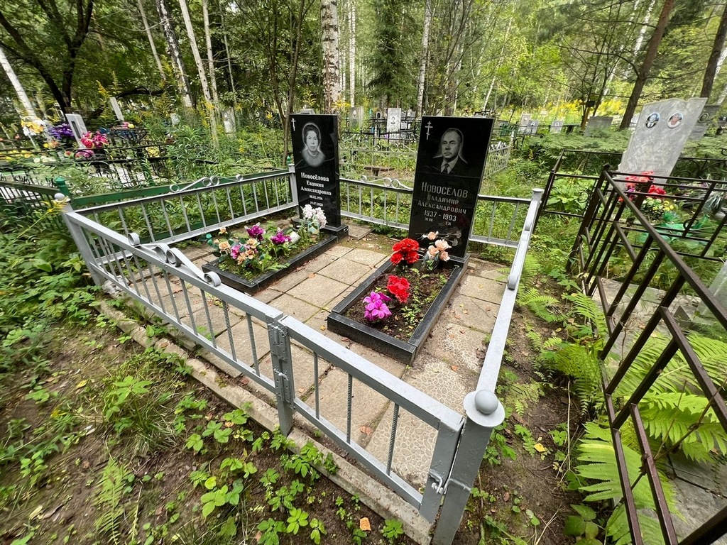 Новоселов Владимир Александрович