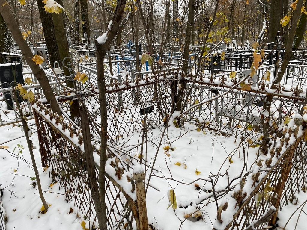 Лобова Анна