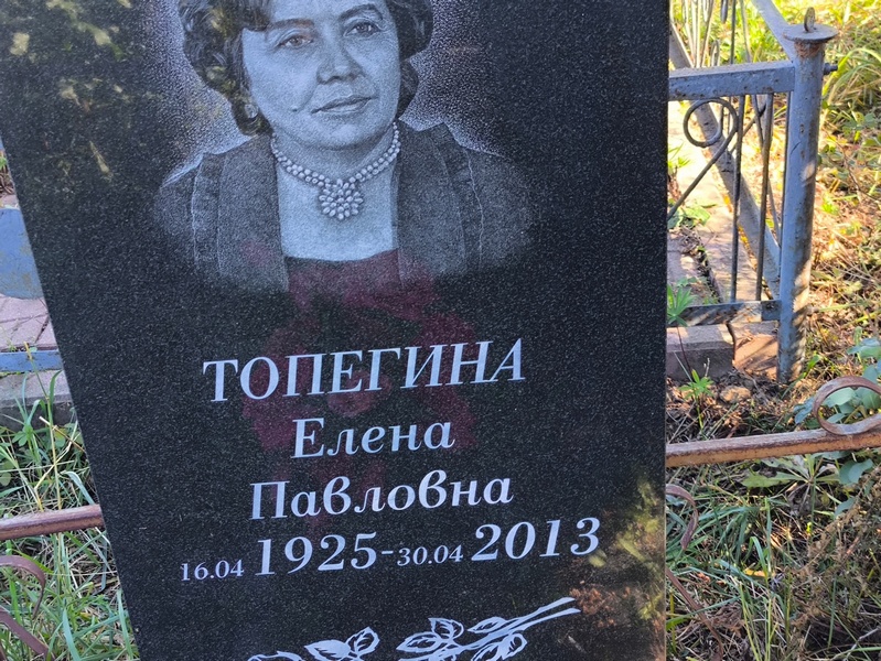 Топегина